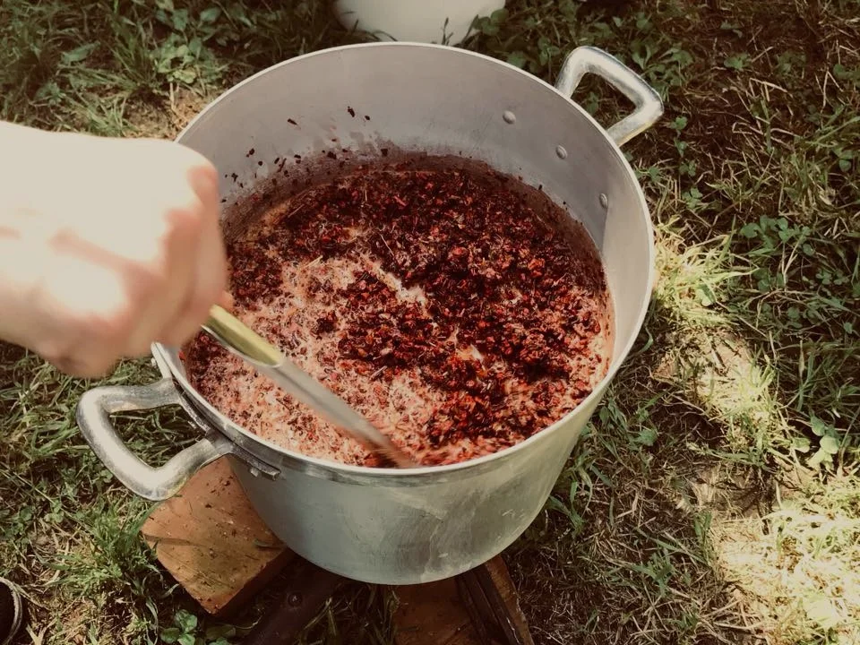 Dye Plants