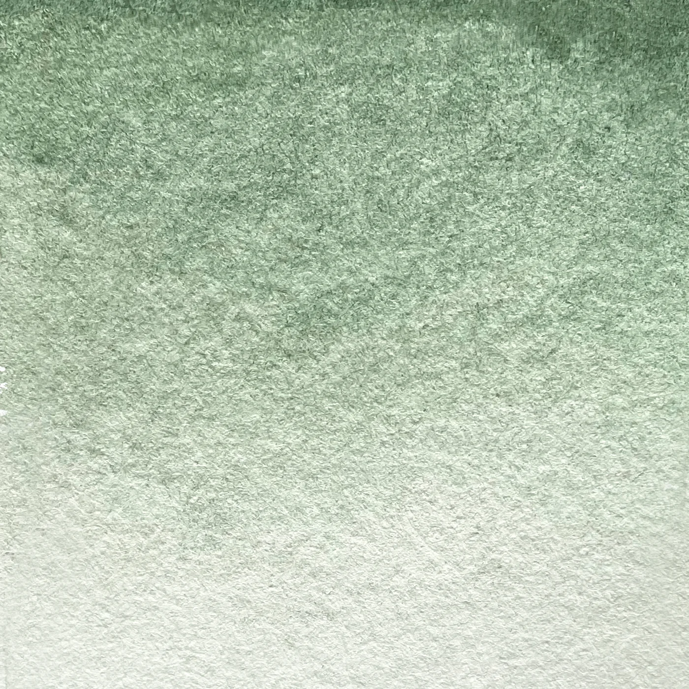 Acquerello Extrafine Terra Verde