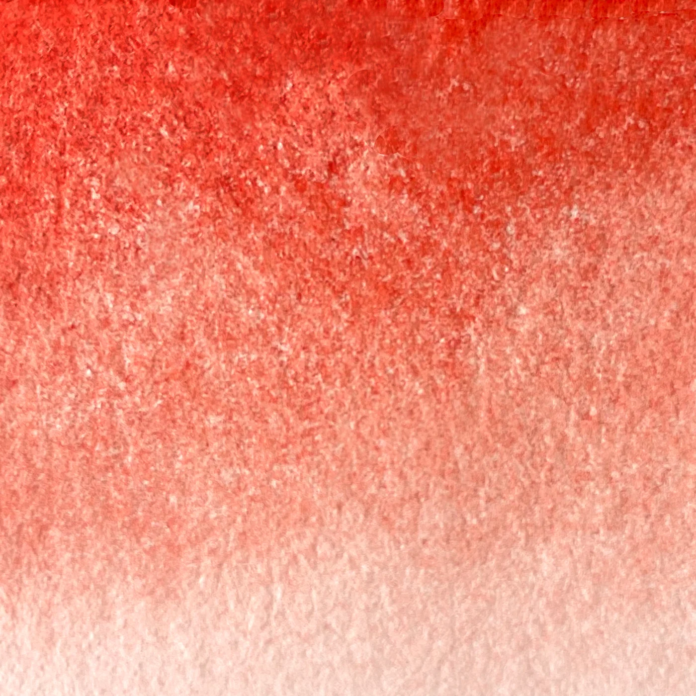 特级水彩 浅镉红