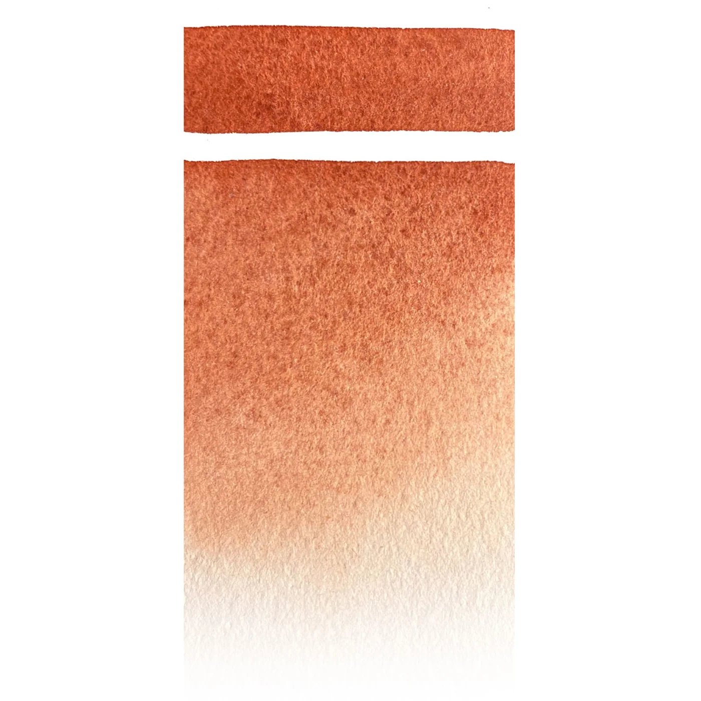 Stesura del colore