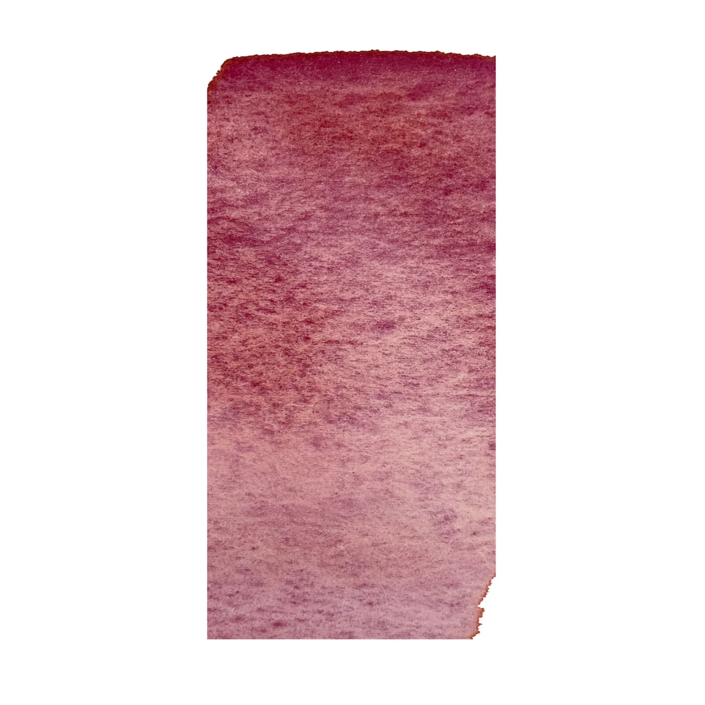 Stesura del colore