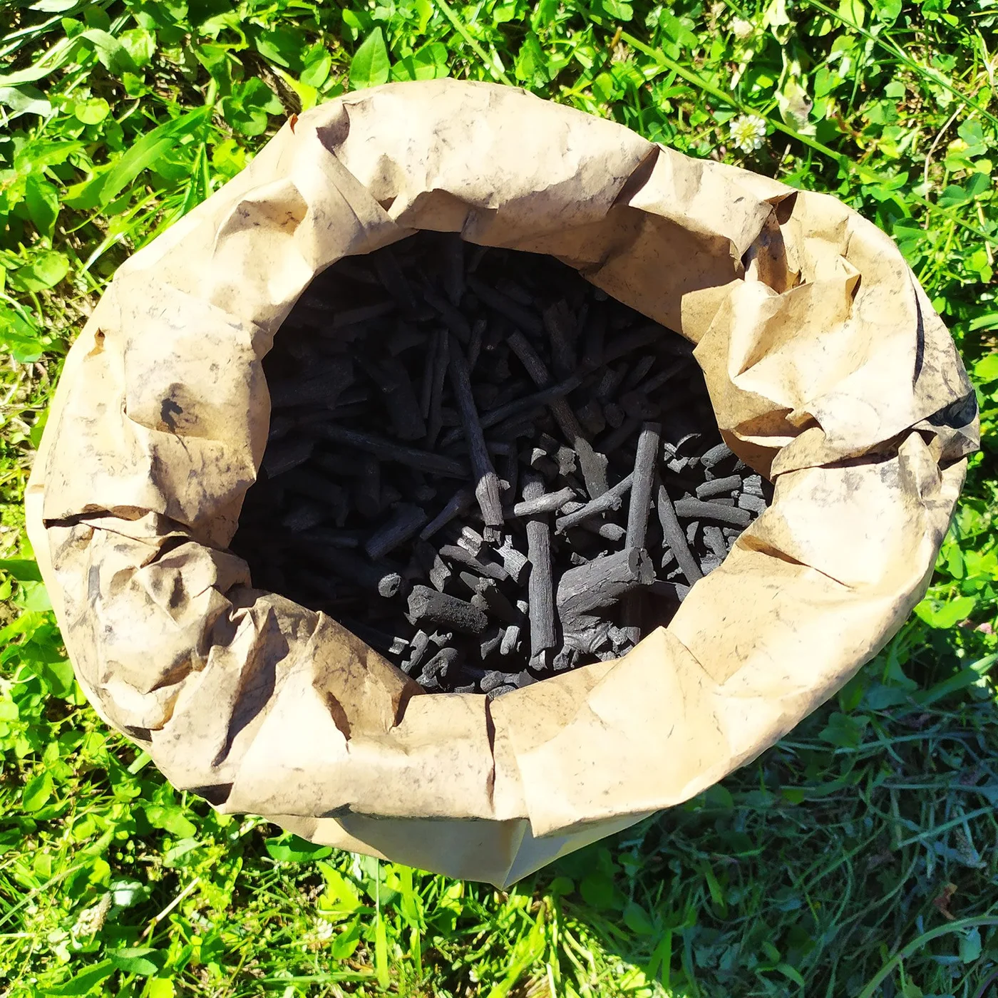 Black and its hues: vine charcoal