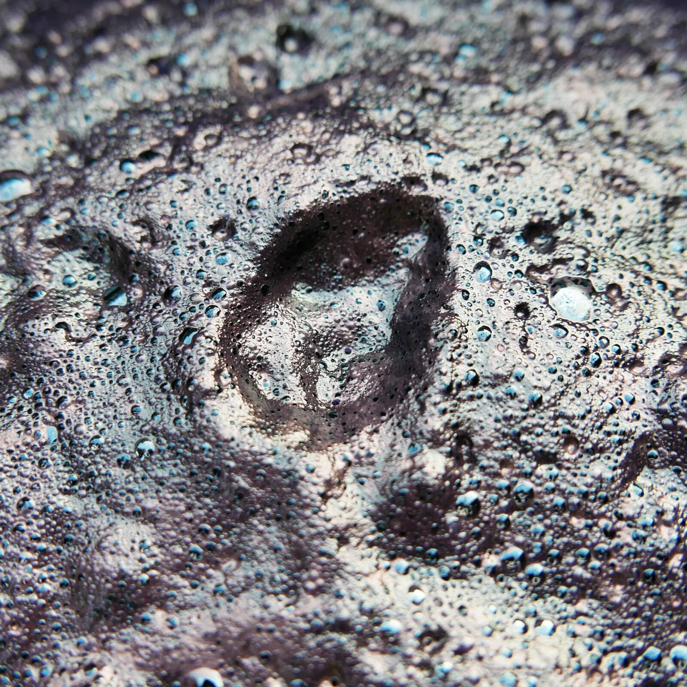 Indigo, the color given by plants