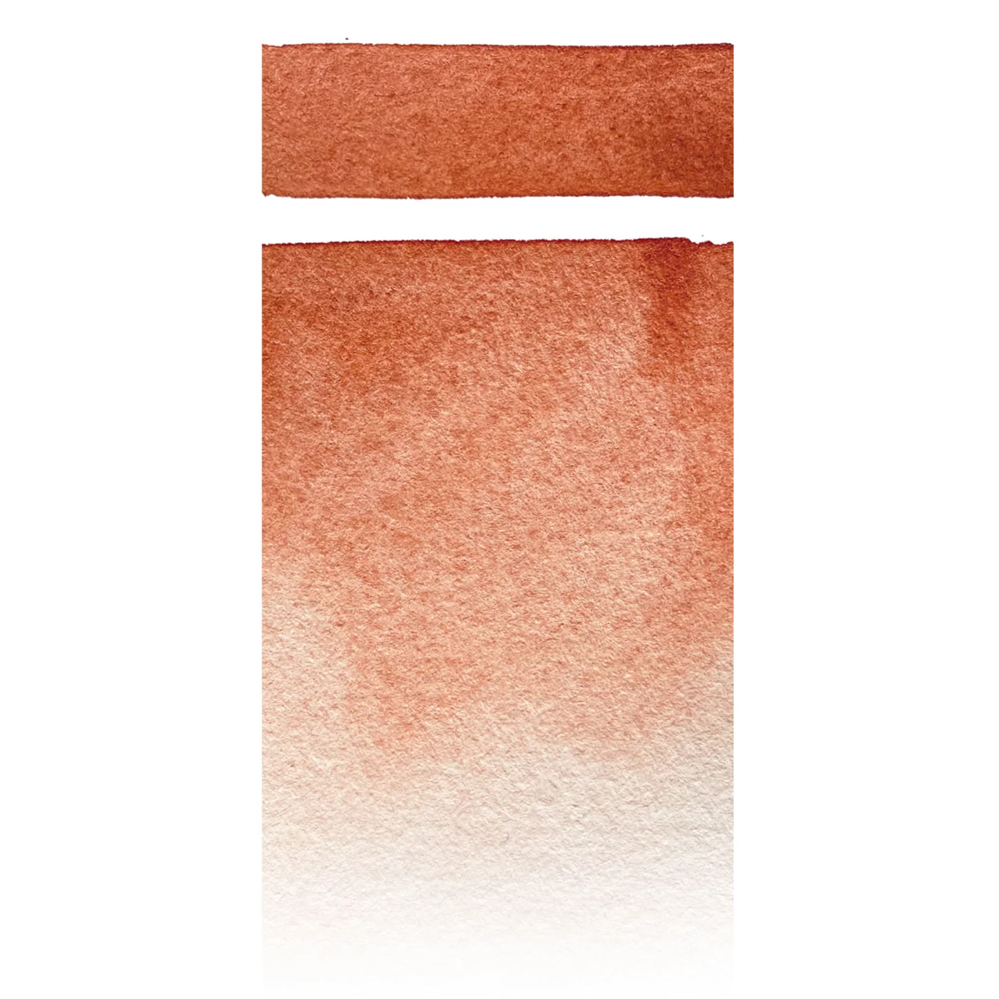 Stesura del colore