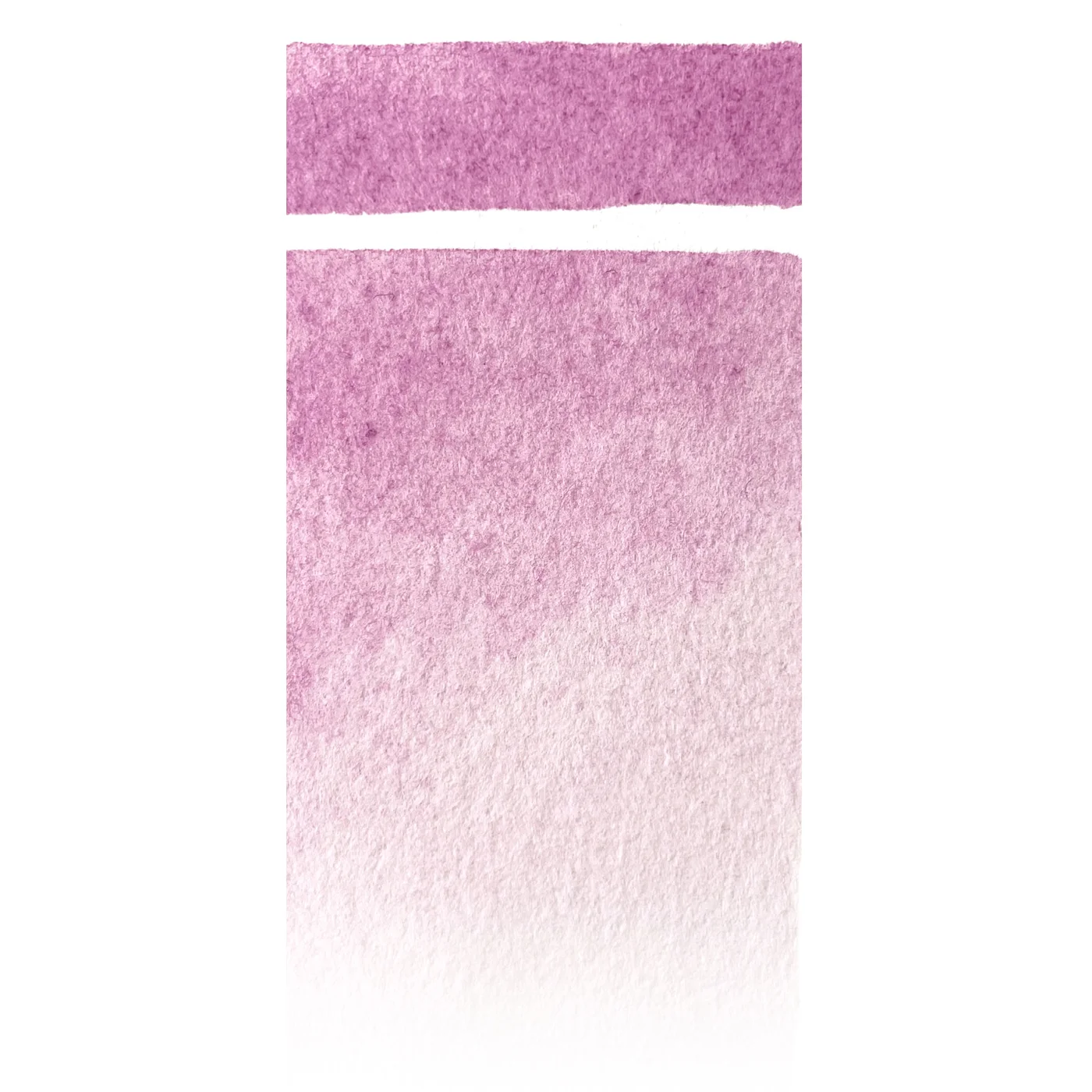 Stesura del colore